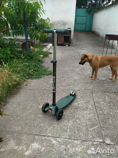 Самокат maxi micro