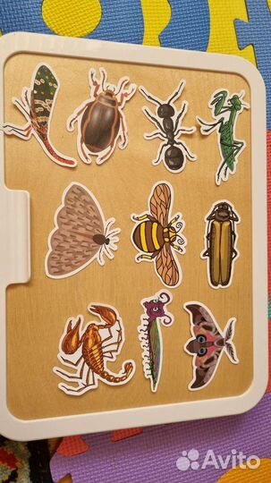 Большие наклейки насекомые