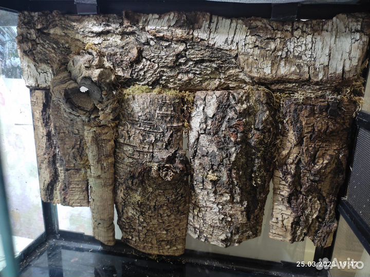 Террариум 40х35х30 Repti zoo