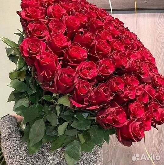 Высокие розы Гигантские розы 110