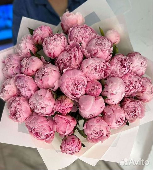 Пионы Букет пионов