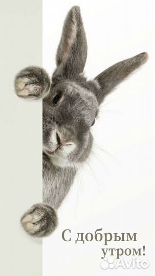 Услуги сиделки