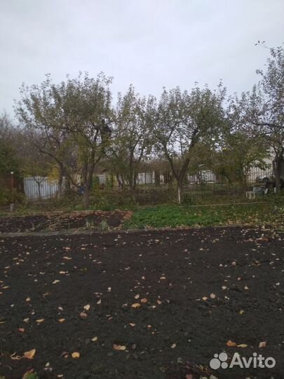 Обрезка сада, обработка пестицидами