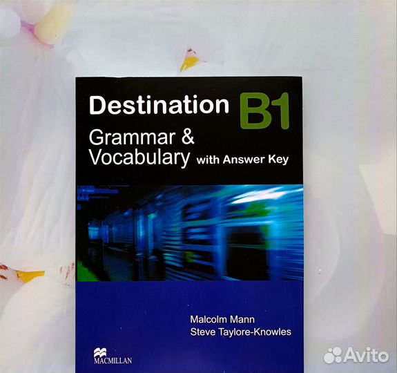 Destination B1 Grammar & Vocabulary with answer ke