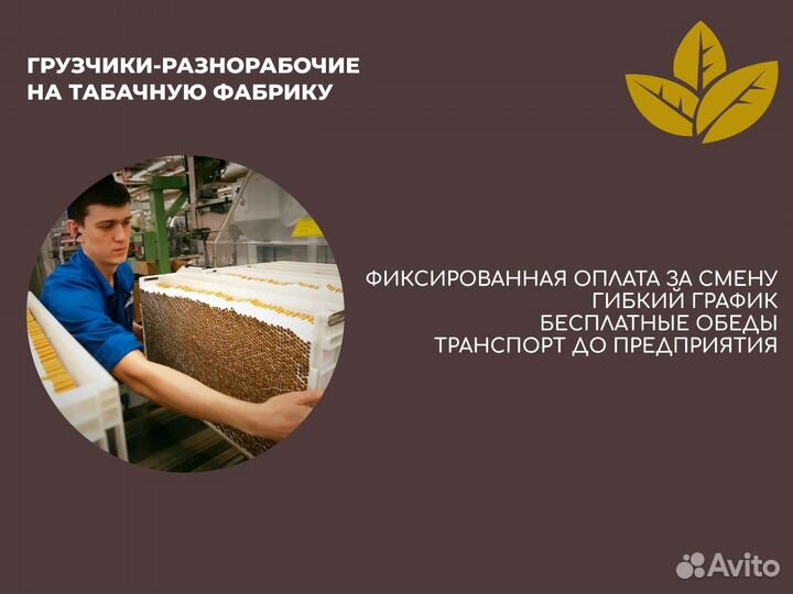 Подработка табачная фабрика рабочие оплата сразу