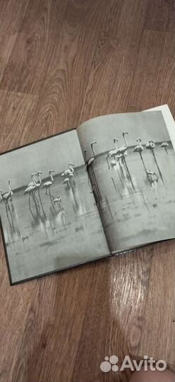 Книга Заповедники Кавказа