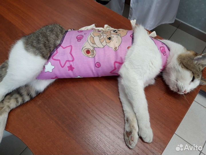 Ветеринарный врач на дом Москва