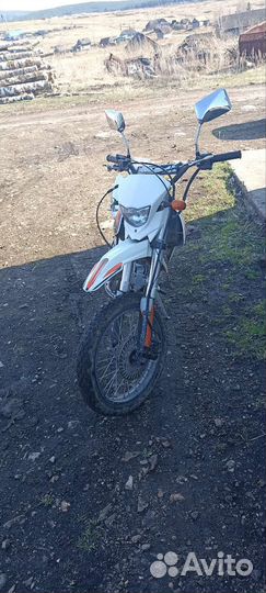 Продам питбайк