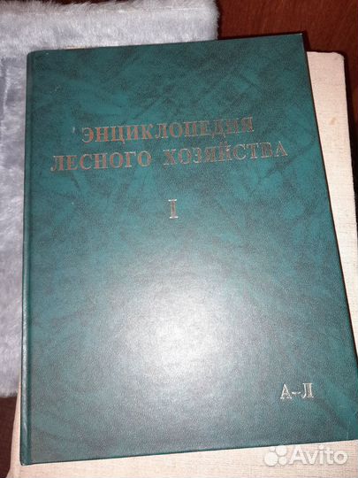 Энциклопедия лесного хозяйства том первый (2004)