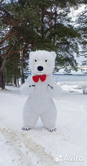 Надувной костюм аренда