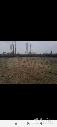 Участок 9суток