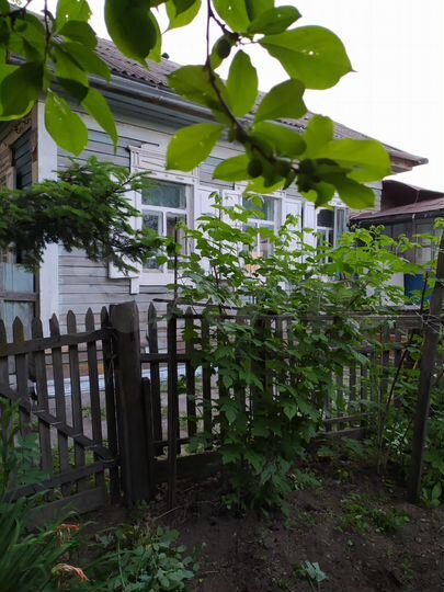 Дом 54 м² на участке 20 сот.