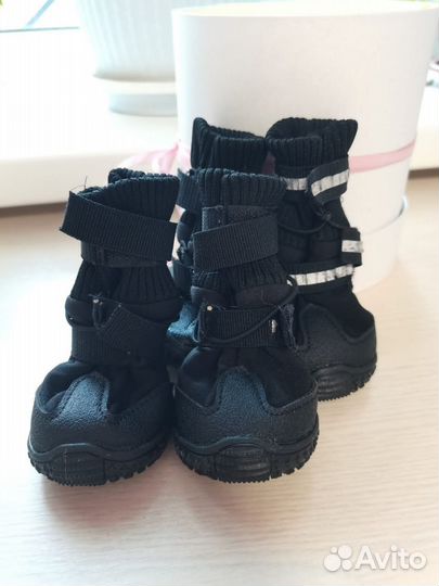 Ботиночки для собак