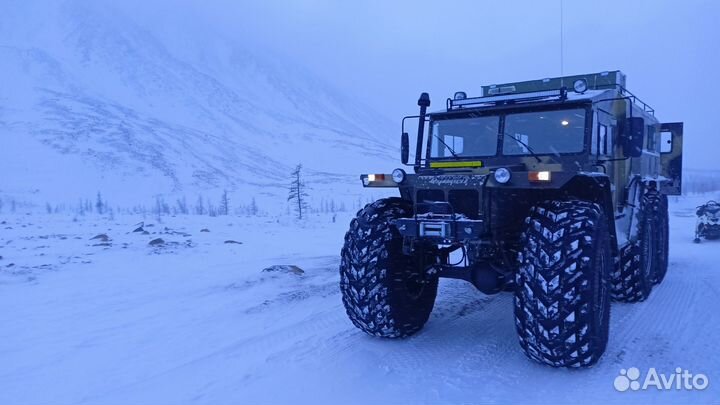 Снегоболотоход, Вездеход, 