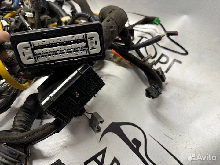 Проводка двс Chevrolet Captiva C140 кроссовер 2.4