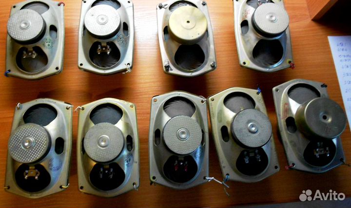 Динамики Россия