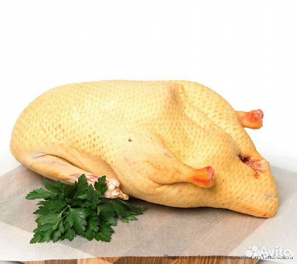 Мясо Гуся