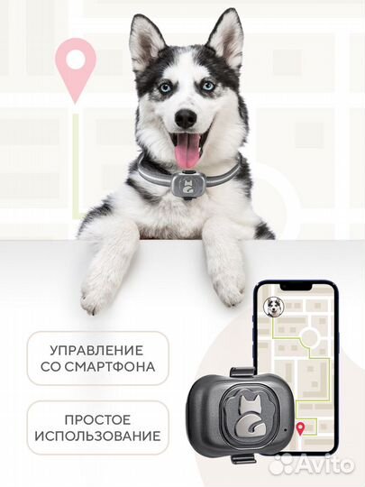GPS трекер для собак и кошек
