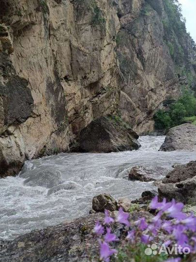 Тур по Чечне и Дагестану