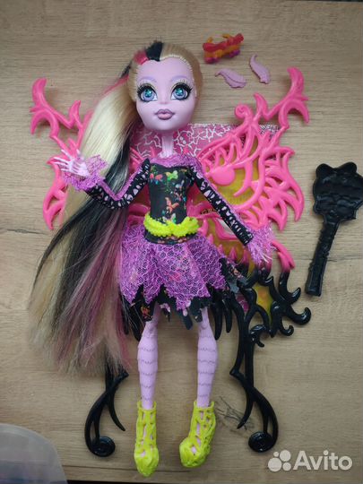 Бонита Фемур