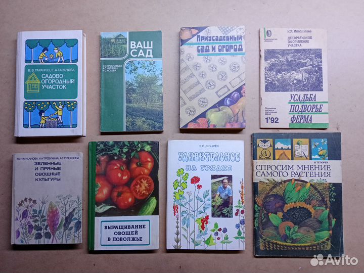 Сад Огород Выращивание овощей