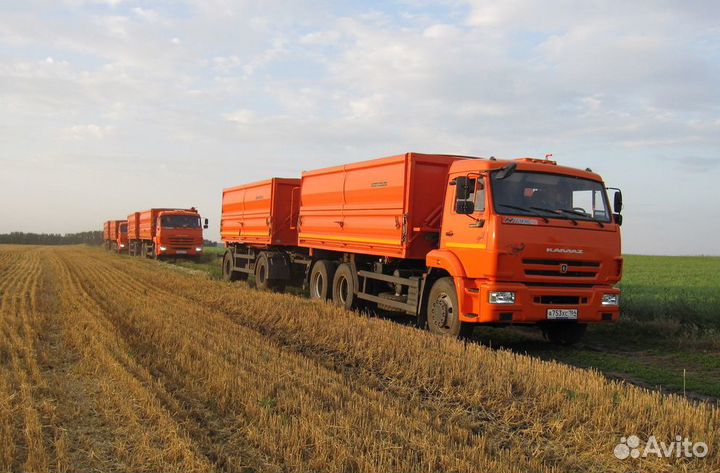 Водители категории Е и С