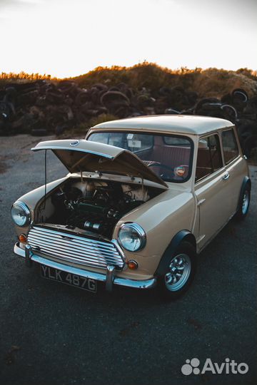 Автоэлектрик с выездом с 11 до 56418