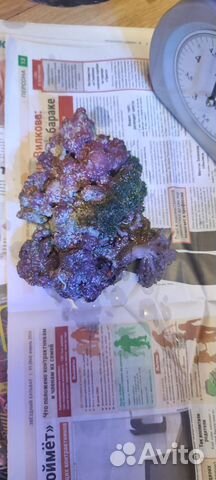 Живые камни для морского аквариума купить в Москве | Животные и ...