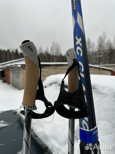 Беговые лыжи