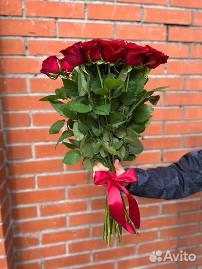 Голландская Свежая роза 15 шт