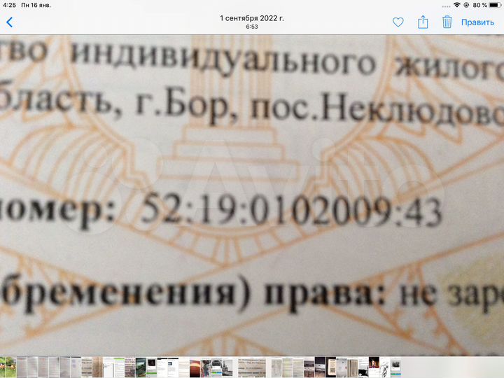 Участок 10 сот. (ИЖС)