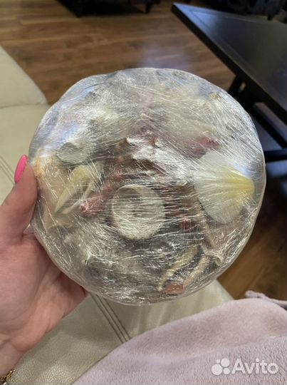 Морские ракушки раковины