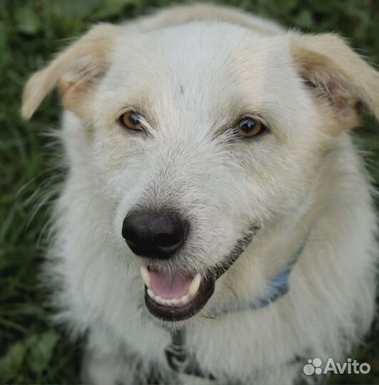 Маленький Филя в дар