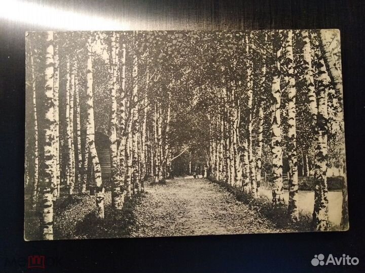 Открытка Калязин, аллея городского сада, до 1917 г