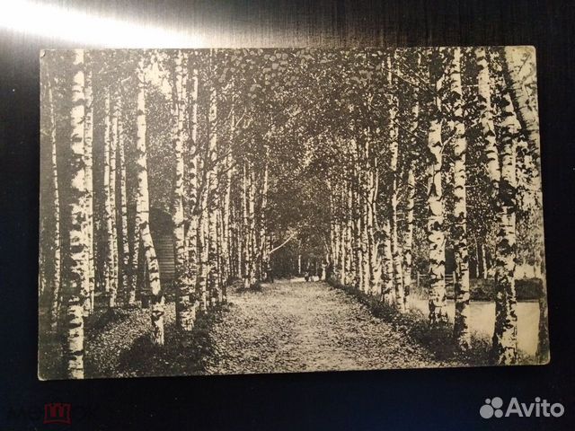 Открытка Калязин, аллея городского сада, до 1917 г