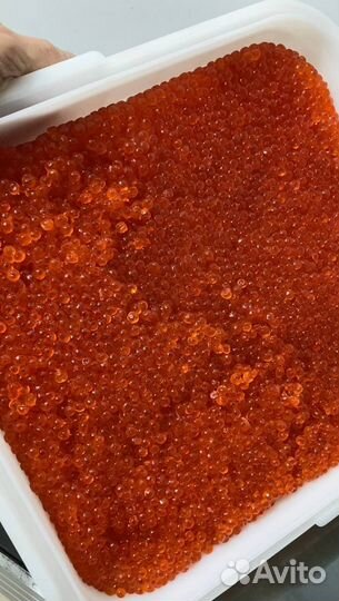 Красная икра 2023