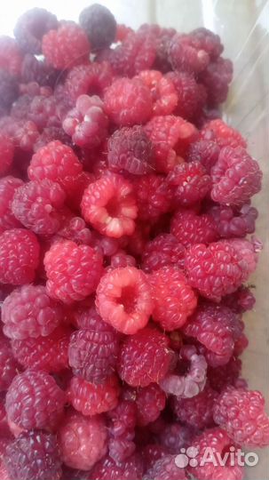 Малина ягоды