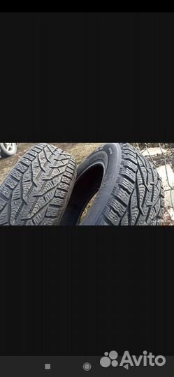 Tigar Ice 195/65 R15 95T
