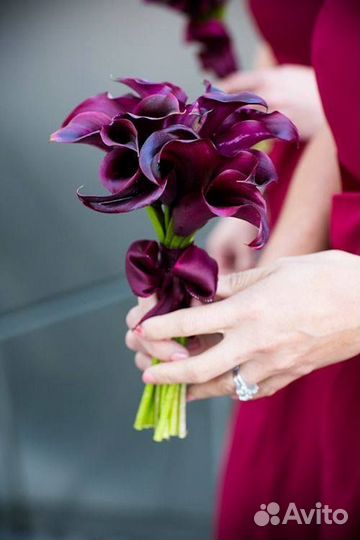 Букет из калл