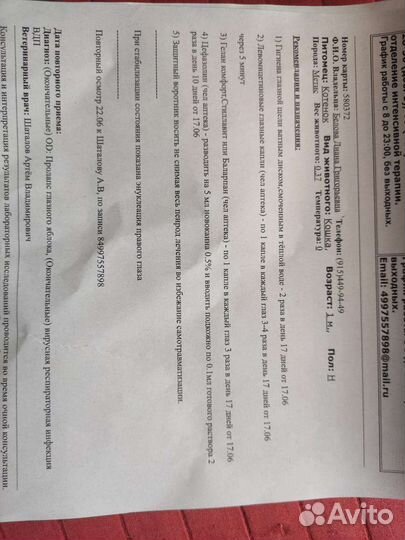 Очаровательный котенок 2 месяца в добрые руки