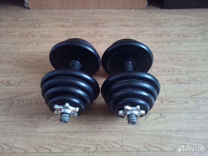 Гантели разборные по 10 кг