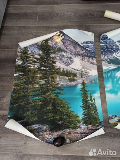 Постеры, постер на стену