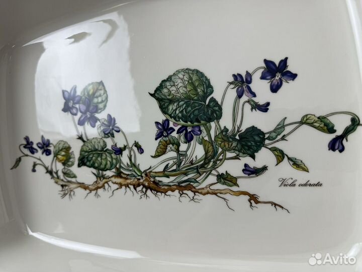 Villeroy&Boch Botanica Редкая Форма