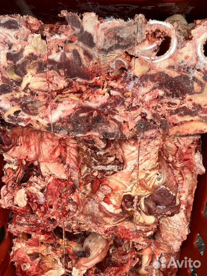 Говяжья тех.обрезь для животных оптом