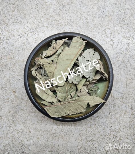 Листья Гуавы