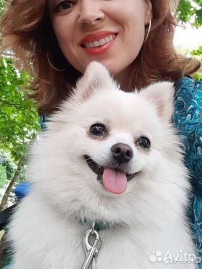 Передержка, зооняня или присмотр мелкие животные