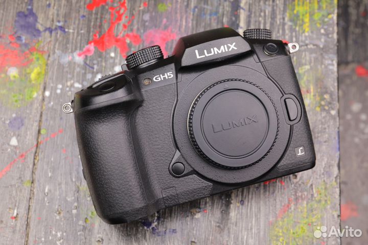 Panasonic Lumix DC-GH5 Body
