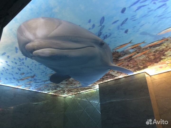 Натяжные потолки