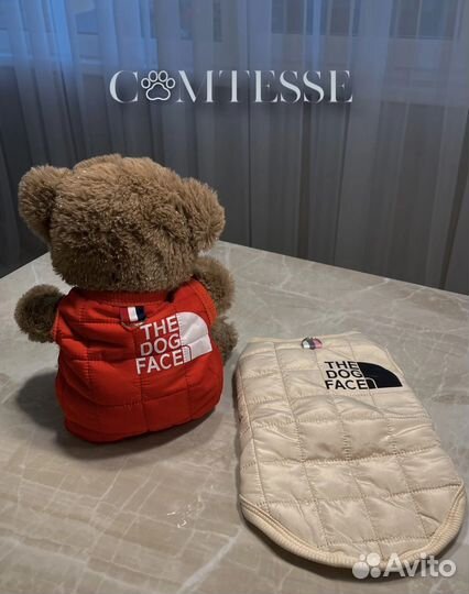Одежда для собак мелких пород
