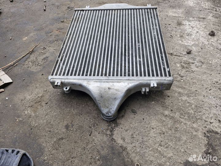 Интеркуллер ман